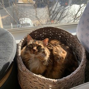 Meet your Posher, Katelin